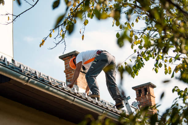 Best Roof Leak Repair  in Belmont Estates, VA