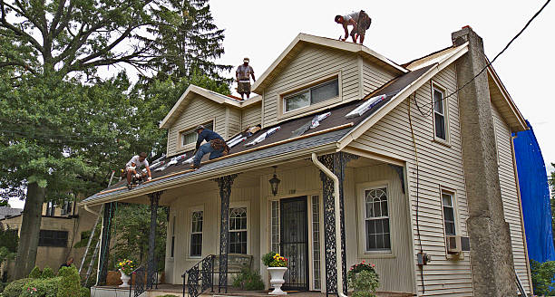 Best Roof Repair Services  in Belmont Estates, VA
