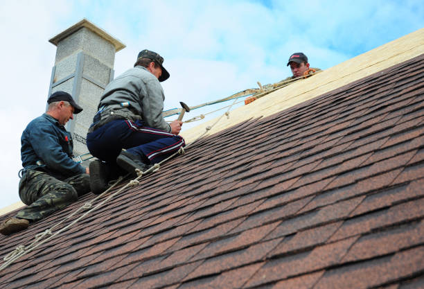 Best Roof Maintenance Services  in Belmont Estates, VA