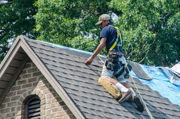 Best New Roof Installation  in Belmont Estates, VA